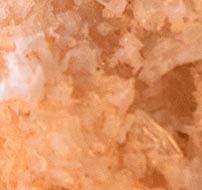czerowna australisjka sól